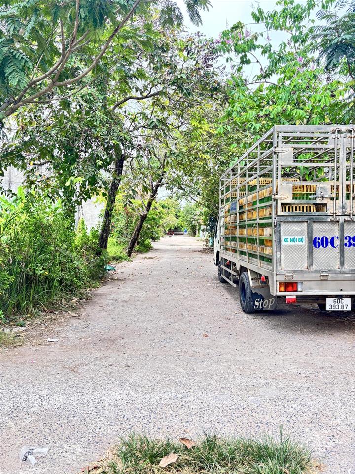 102m² đất thổ cư 100% đường xe hơi cách chợ đại phước 600m