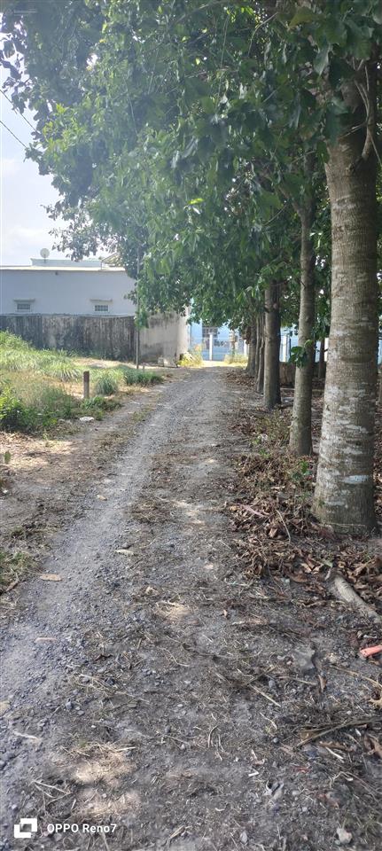 Kẹt vốn cần bán nhanh 251m2 (9,8 x 26) có 127m2 thổ cư