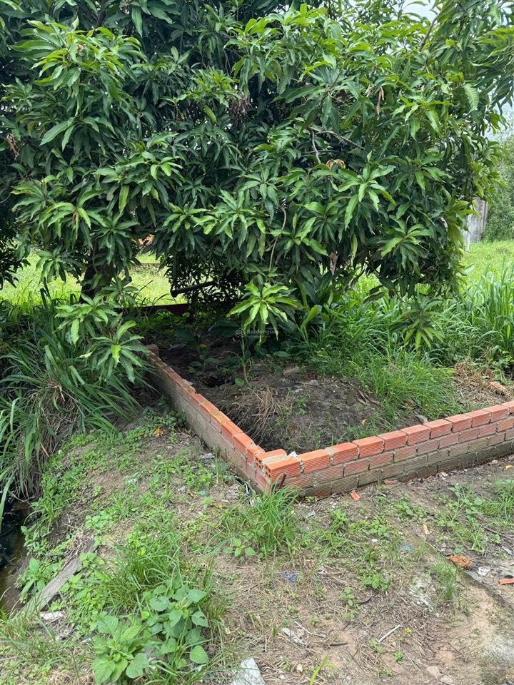 Cần bán nền 3 mặt tiền, có sẵn thổ cư hẻm xe hơi