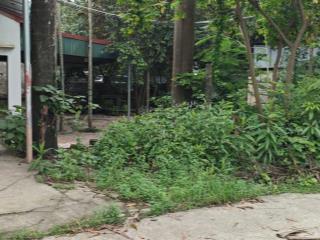 Bán kho, nhà xưởng 3500 m2 tại cấn hữu, quốc oai, hà nội, giá cực chất 19,8 tỷ, dòng tiền 100tr/th