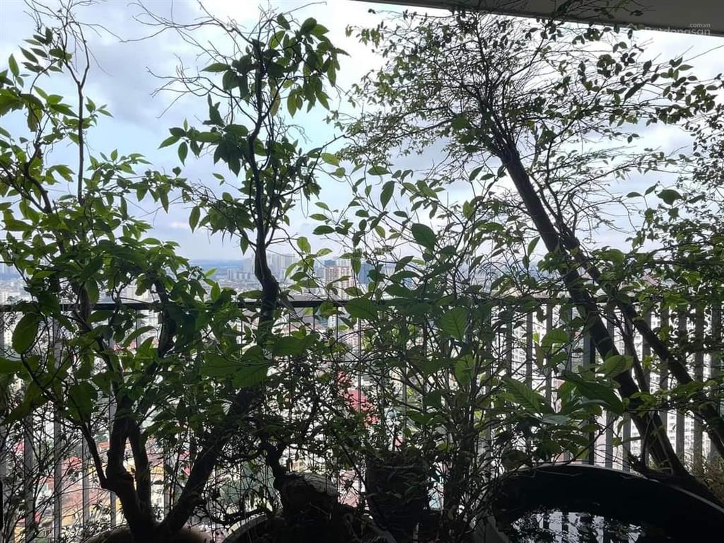 Bán căn 3phòng ngủ  148.6m2 tầng đẹp, nhà đẹp full nội thất cao cấp giá 12.8 tỷ bao phí