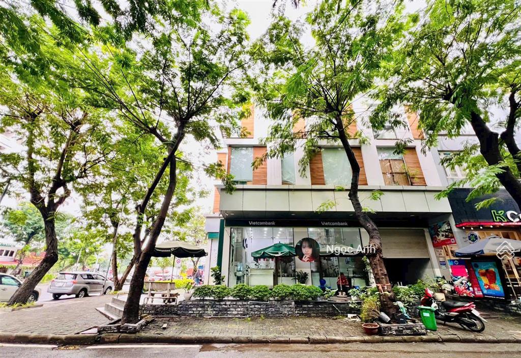 Cho thuê nhà mặt phố, đường bùi bằng đoàn và nội khu hưng phước 4, khu đô thị phú mỹ hưng, 900 m2