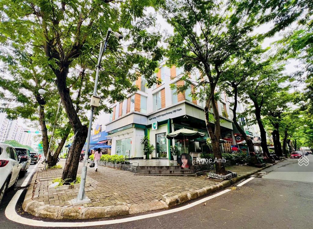 Cho thuê nhà mặt phố, đường bùi bằng đoàn và nội khu hưng phước 4, khu đô thị phú mỹ hưng, 900 m2