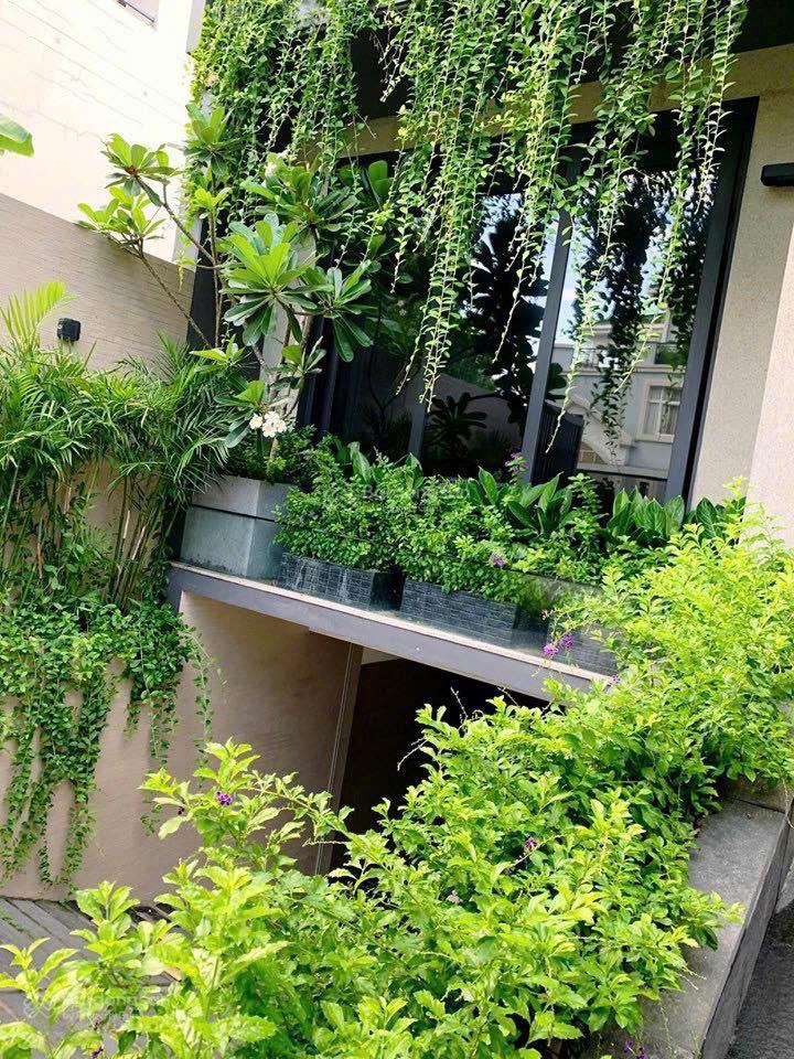 Chính chủ bán biệt thự khu nam đô, phú mỹ hưng quận 7, ví trí đẹp đường lớn 18m, có thang máy riêng