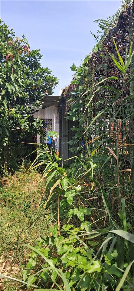 Bán đất 1000m2 full thổ cư phước lại long an cạnh khu đô thị mới sài gòn villa tha 628c 3.5tỷ