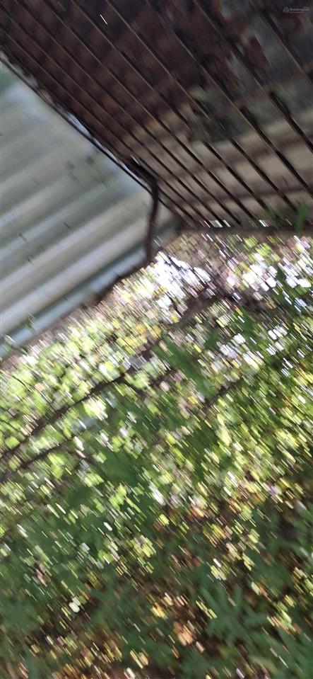 Bán đất 1000m2 full thổ cư phước lại long an cạnh khu đô thị mới sài gòn villa tha 628c 3.5tỷ