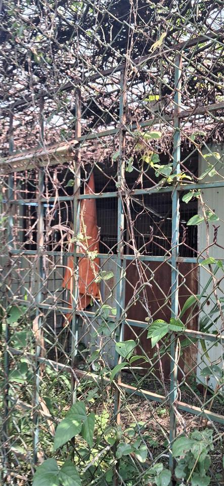 Bán đất 1000m2 full thổ cư phước lại long an cạnh khu đô thị mới sài gòn villa tha 628c 3.5tỷ