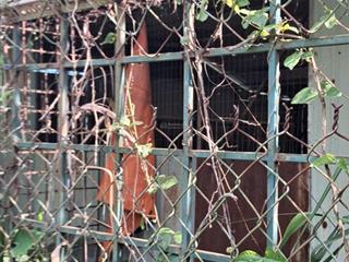 Bán đất 1000m2 full thổ cư phước lại long an cạnh khu đô thị mới sài gòn villa tha 628c 3.5tỷ