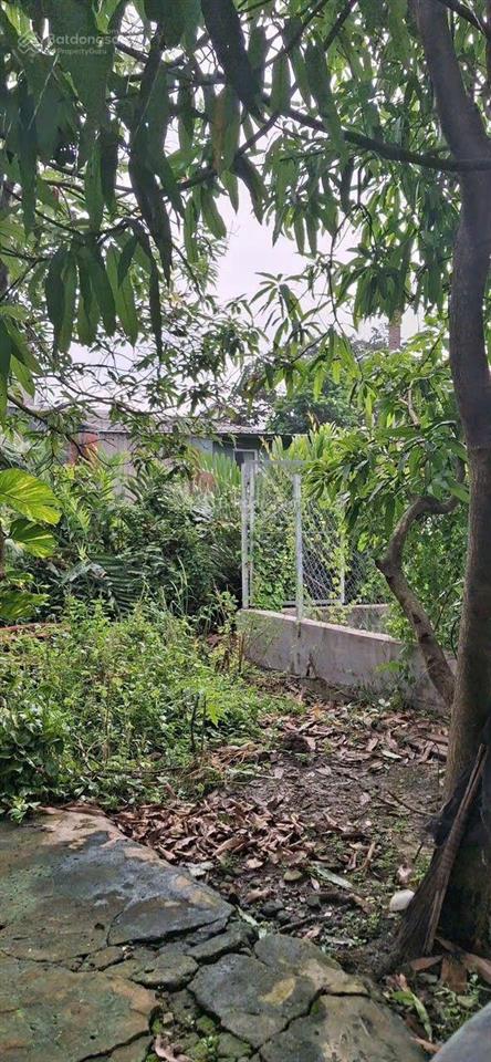 Bán gấp chỉ {3ty290}1000m2 đất thổ cư kề dự án t&t long hậu shr đẹp vuông vắn