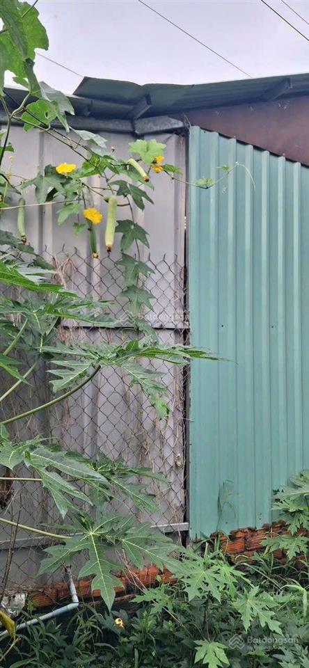 Bán gấp chỉ {3ty290}1000m2 đất thổ cư kề dự án t&t long hậu shr đẹp vuông vắn