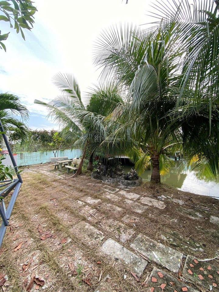 Nhà bè  lô đất 654m2  ôtô tới nơi  view sông  chỉ 2 tỷ 690  sổ hồng riêng