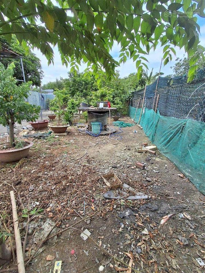 Nhà bè  lô đất 600m2  xe tải tới nơi  shr  phù hợp xây nhà vườn  chỉ 4tỷ4