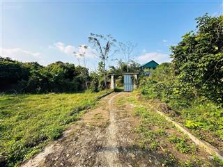 Siêu phẩm 8.179m² bám suối cái, 1000m² thổ cư, view nghỉ dưỡng, ô tô vào tận đất, gần hà nội