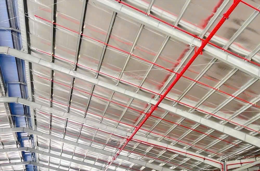 Nhà xưởng cho thuê kcn long thành, lộc an bình sơn, diện tích theo yêu cầu khách hàng, mới đẹp