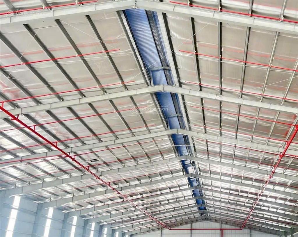 Nhà xưởng cho thuê kcn long thành, lộc an bình sơn, diện tích theo yêu cầu khách hàng, mới đẹp