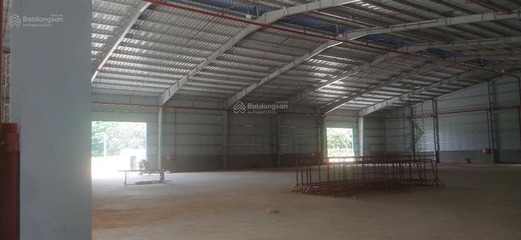 Nhà xưởng cho thuê gần kcn tân bình phú giáo, đa diện tích cho thuê, nhà xưởng mới đẹp