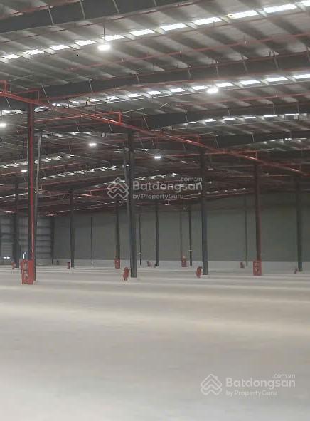 Nhà xưởng tổng 12.000m2, cắt lẻ cho thuê từ 2200m2, kcn bến lức, kế kcn thuận đạo, vĩnh lộc 2