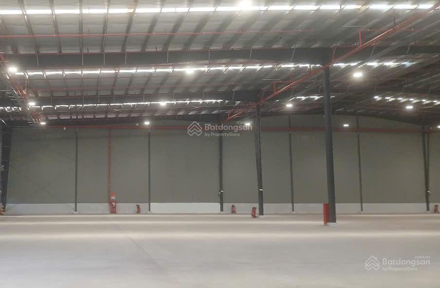 Nhà xưởng 30.000m2, cắt lẻ cho thuê kcn bến lức, kế kcn thuận đạo, vĩnh lộc 2