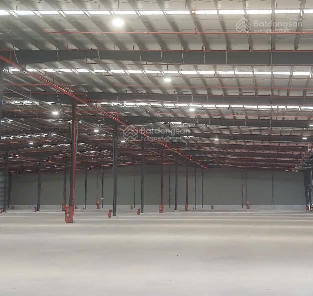 Nhà xưởng 30.000m2, cắt lẻ cho thuê kcn bến lức, kế kcn thuận đạo, vĩnh lộc 2