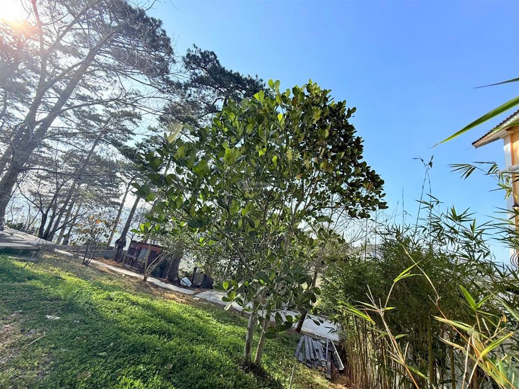 Bán villa khe sanh đẹp view đẹp dt 733.2m2 đất ở đô thị 211,8m2 giá 16 tỷ