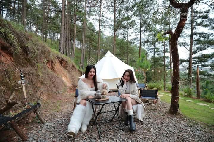 Bán khu homestay, camping tại xuân thành phường xuân trường đà lạt 5300m2 (trên sổ 2353m2) 7ty