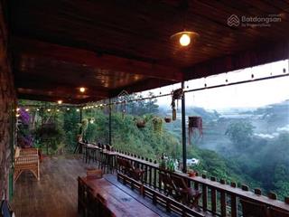 Bán khu homestay, camping tại xuân thành phường xuân trường đà lạt 5300m2 (trên sổ 2353m2) 7ty
