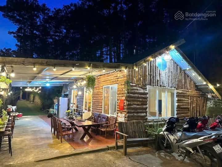 Bán khu homestay, camping tại xuân thành phường xuân trường đà lạt 5300m2 (trên sổ 2353m2) 7ty