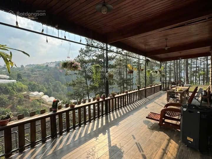 Bán khu homestay, camping tại xuân thành phường xuân trường đà lạt 5300m2 (trên sổ 2353m2) 7ty