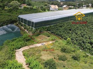 Chỉ 1 nền duy nhất, rẻ nhất măng lin đà lạt #1382 diện tích 223m² 3.9 tỷ