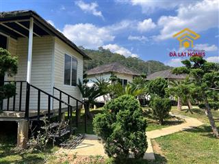 Bán đất đèo mimosa đà lạt, view rừng thông diện tích 12562,9m² đất nông nghiệp 65 tỷ