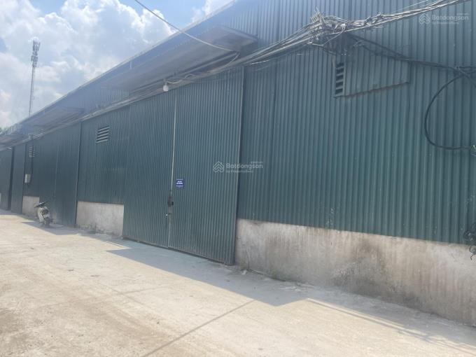 🏭 CHO THUÊ KHO XƯỞNG 5.500M² TẠI KCN THẮNG LỢI, THƯỜNG TÍN, HÀ NỘI