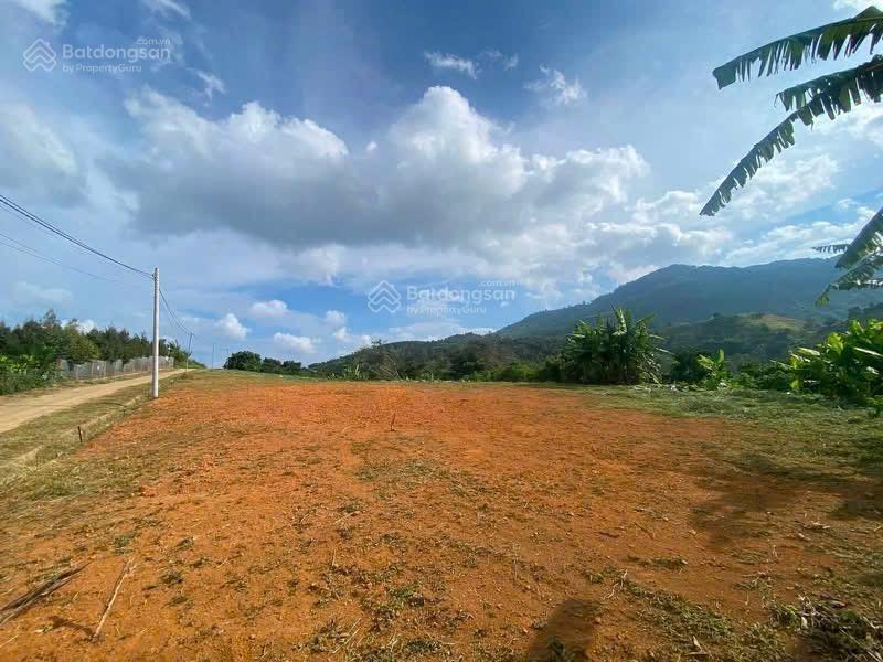 Đất nền full thổ cư view núi đại bình  giáp ranh tp bảo lộc chỉ từ 450 triệu