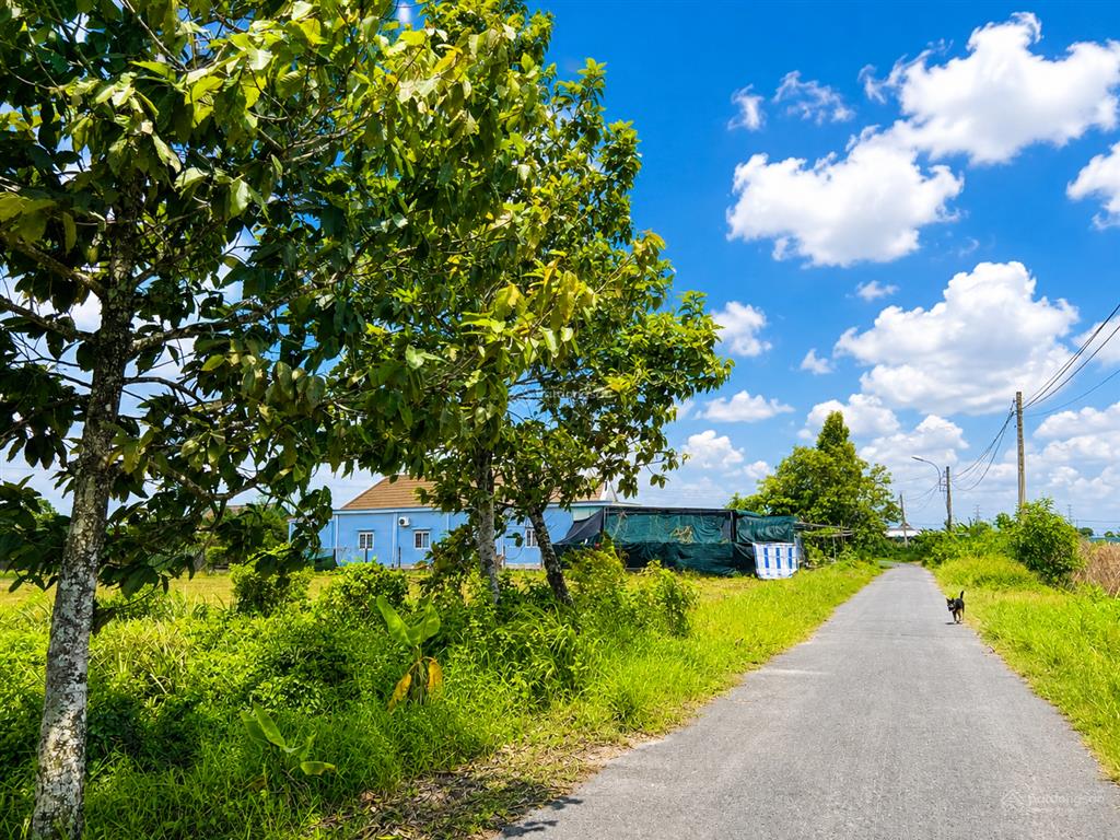 Ngộp sâu bán lỗ 644,4m2 view kênh, đường tỉnh lộ 7, giá ngộp siêu lời