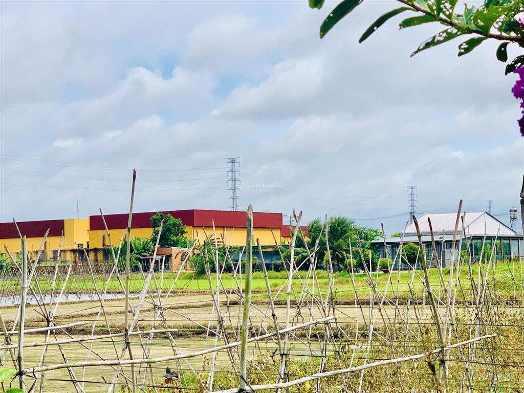Xã củ chi, 1547,7m2, có sẵn 300m2 thổ cư, cách ql 22 300m chủ ngộp bán nhanh