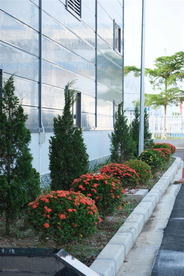Cho thuê 6000m2 nhà xưởng tại ccn tỉnh ninh bình