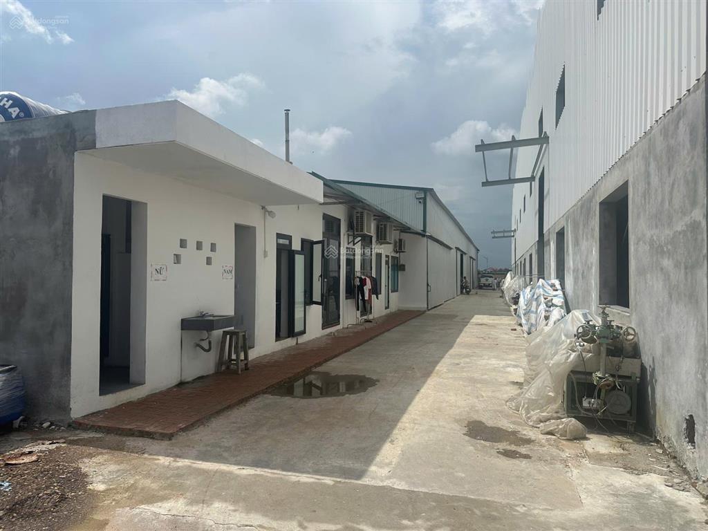 Cho thuê 5375m2 nhà xưởng tại thái tân, hải dương