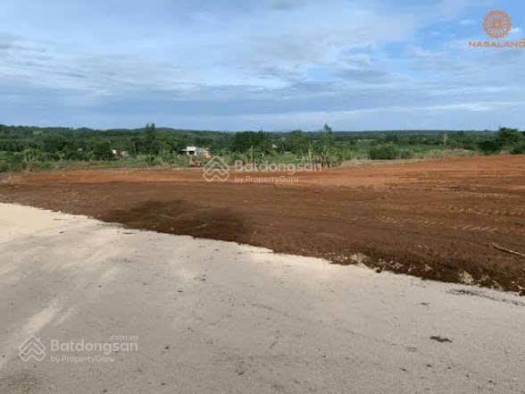 Bán 10.000 m² đất công nghiệp tại quế võ  bắc ninh
