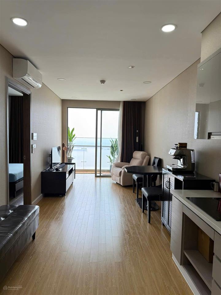 Cho thuê căn hộ sky 89 quận 7  1pn tầng cao view sông