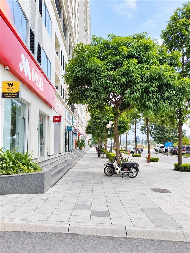 Chỉ từ 3,3 tỷ  quỹ căn eurowindow river park đông hội giá tốt