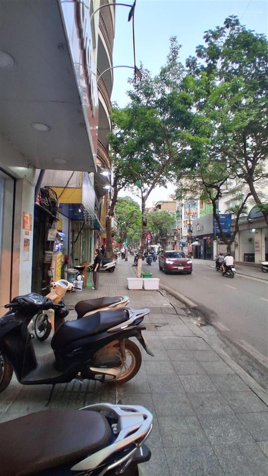 Mặt phố đội cấn  lô góc  2 thoáng  kinh doanh  sổ đẹp  dòng tiền 50tr/tháng
dt 46m x5tầng