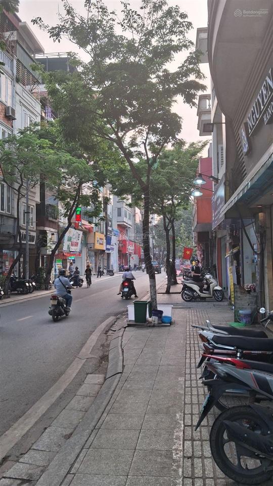 Mặt phố đội cấn  lô góc  2 thoáng  kinh doanh  sổ đẹp  dòng tiền 50tr/tháng
dt 46m x5tầng