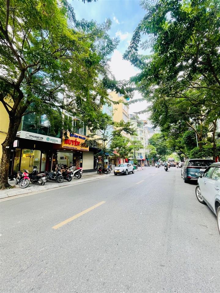 Toà nhà mặt phố siêu vip nguyễn du  vỉa hè đá bóng  kinh doanh đỉnh  thiết kế 7 tầng thang máy,