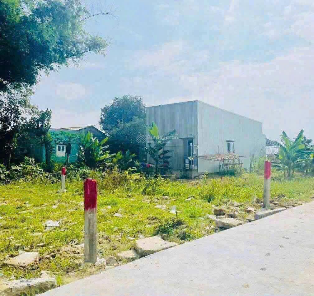 Chủ cần bán gấp đất điện bàn 120m² chỉ 580 triệu đất ở lâu dài, ô tô tới đất
