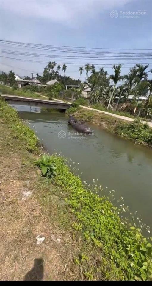 Bán đất tại nghĩa kỳ, tư nghĩa, quảng ngãi, 390 triệu, 152 m2