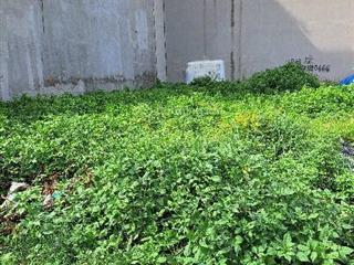 Đất thổ cư mặt tiền đường thạnh lộc 27, phường thạnh lộc, q12, dt 100m2 (5mx20m) giá 6,2tỷ