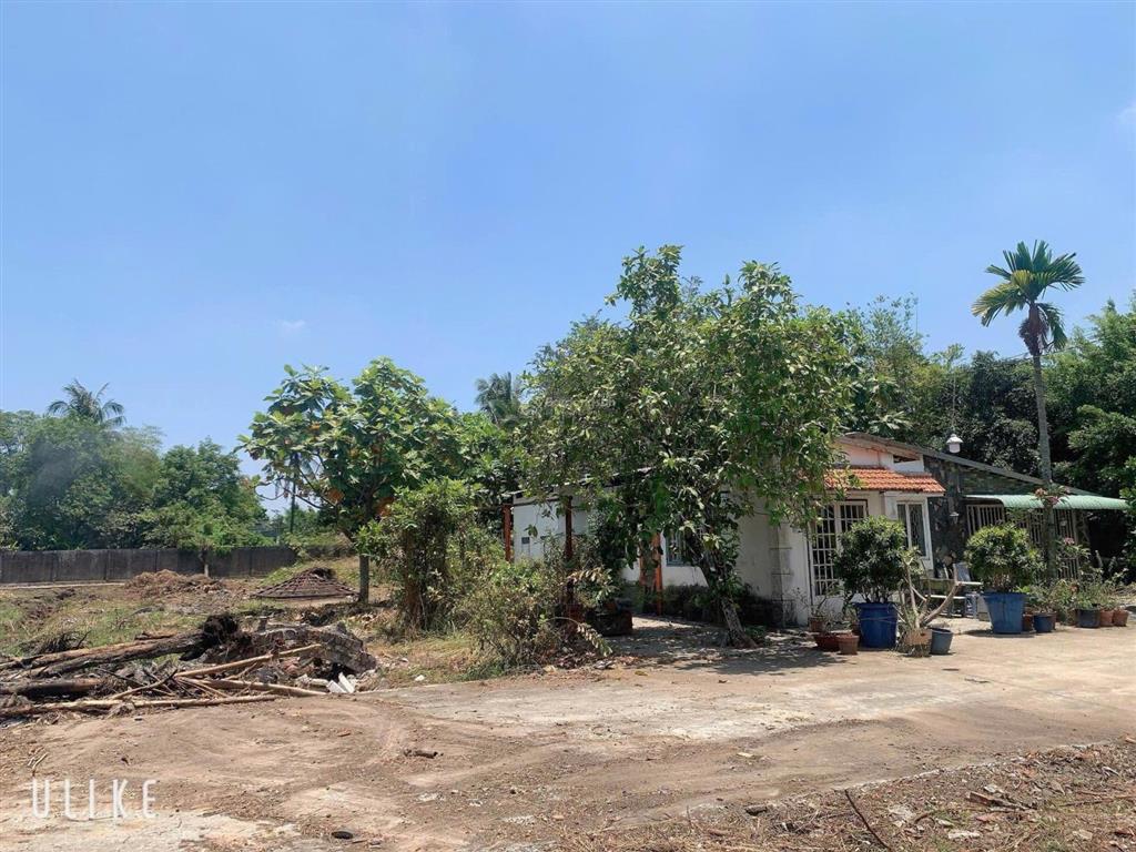 Đất nông nghiệp mặt tiền đường thạnh xuân 52, phường thạnh xuân, q12, dt 3172m2 (15,2mx74m)