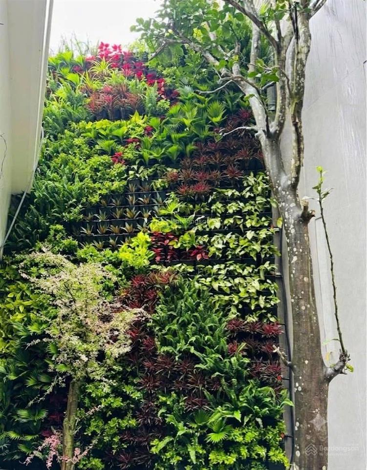 Bán nhà dân xây độc lập lạch tray hải phòng ngõ ô tô đỗ cửa, sân vườn cá koi