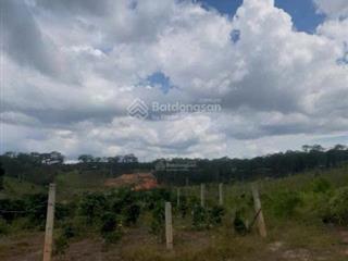 Bán ~5.000m2 đất gần vin eco lạc dương  lâm đồng