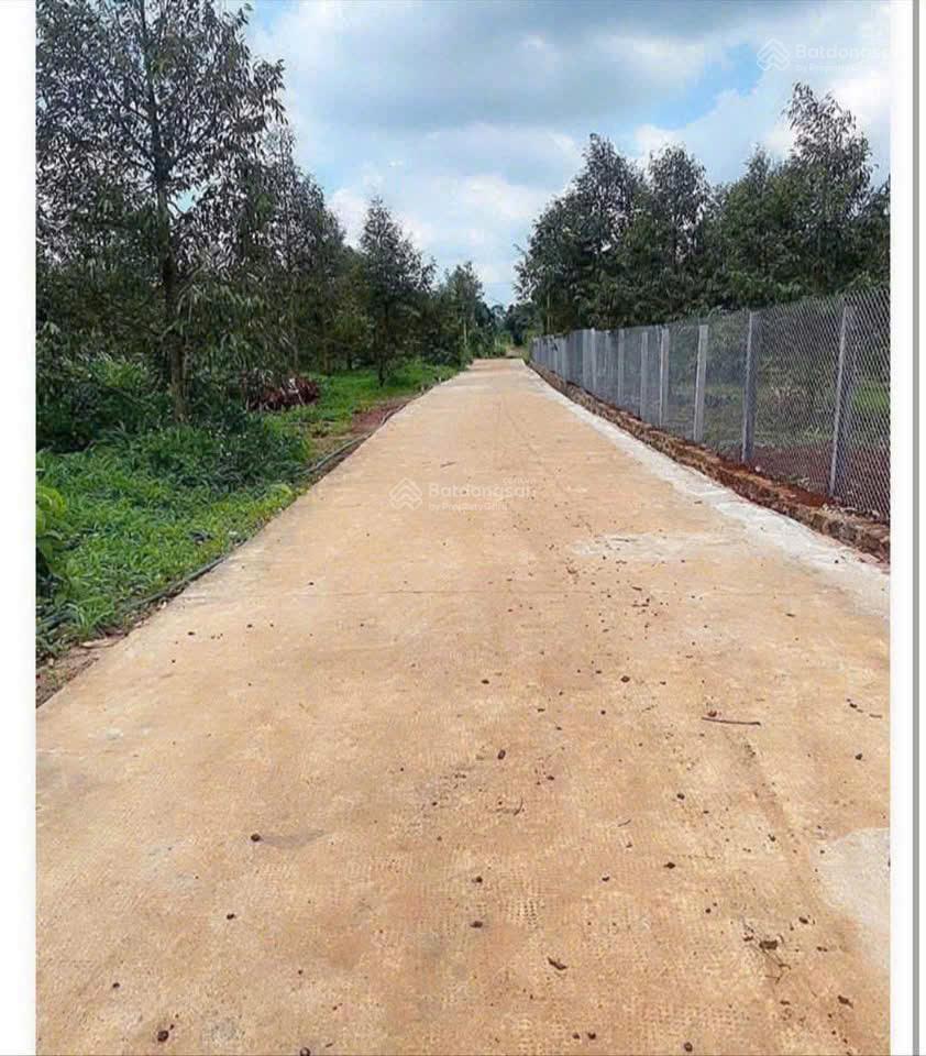 Bán đất thổ cư + 4 cây sầu riêng ngay chợ xuân bảo giá chỉ 490 triệu