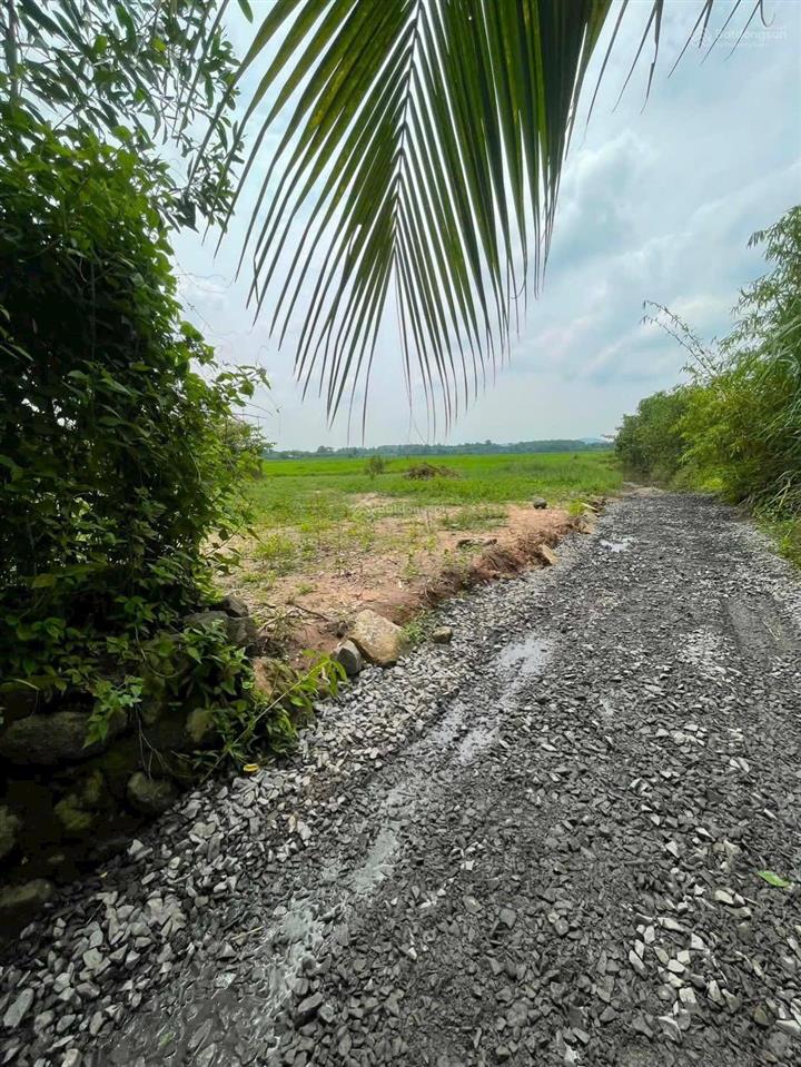 Bán đất ấp 5 gia canh, định quán, đồng nai, 330 triệu, 113.7m2  giá siêu hời!